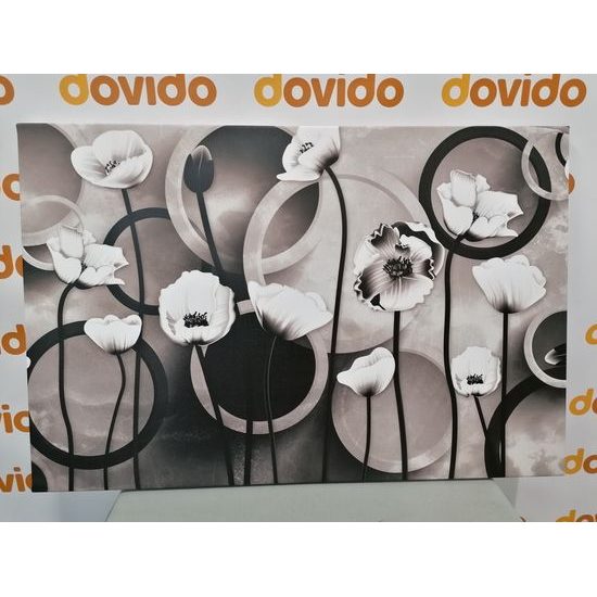 Obraz čiernobiele maky