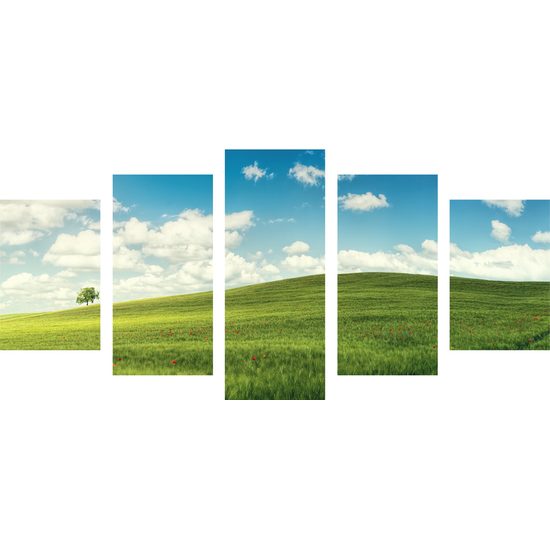 5-dielny obraz slnečný deň na lúke