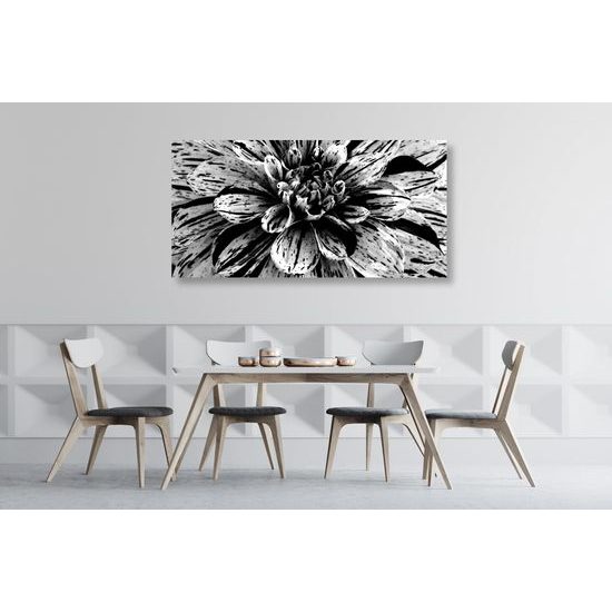 Obraz ohromná dália v čiernobielom prevedení