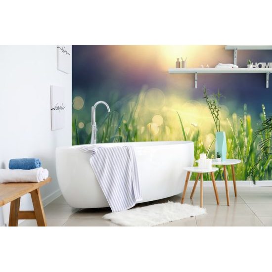 Tapeta ranná rosa na tráve