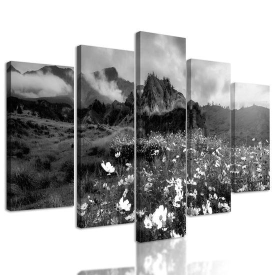5-dielny obraz rozkvitnutá lúka v čiernobielom prevedení