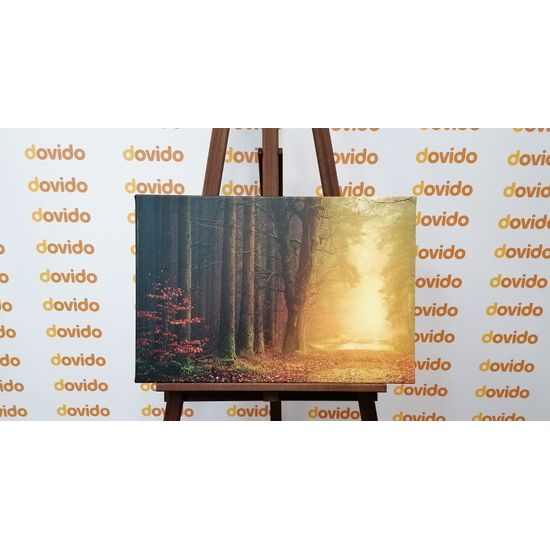 Obraz nádherný čarovný les