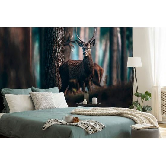 Fototapeta stretnutie s jeleňom