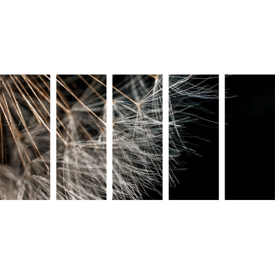 5-dielny obraz detail púpavy