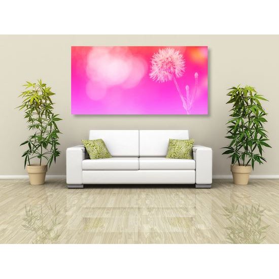 Obraz púpava v ružovo bielych farbách