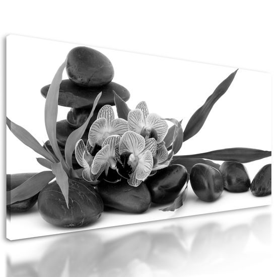 Obraz čiernobiely kvet orchidei v SPA zátiší