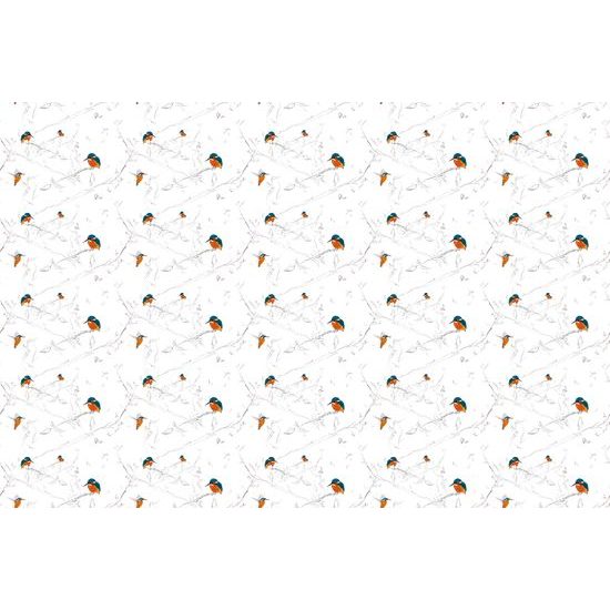 Tapeta malé vtáčiky v hustom lese