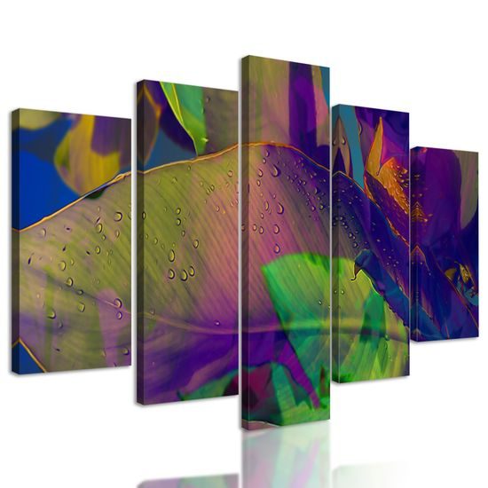 5-dielny farebné listy