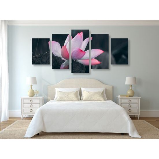 5-dielny obraz nádherny kvet