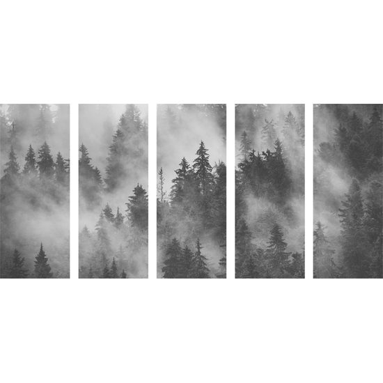 5-dielny obraz čiernobiela hora v rannej hmle