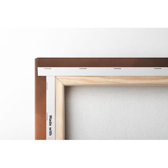 Obraz magický budha