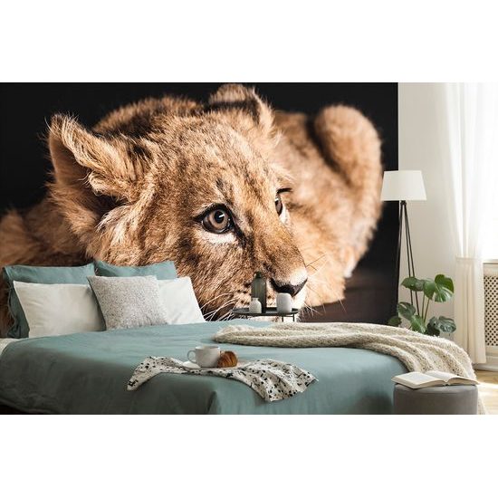 Samolepiaca fototapeta roztomilé levíča