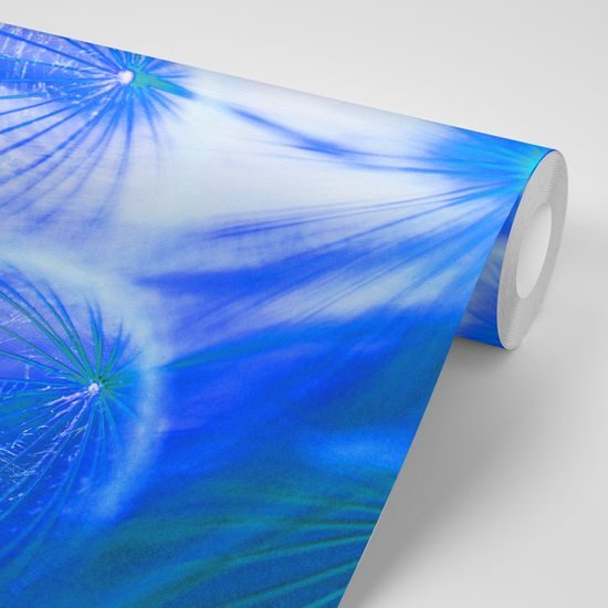 Zaujímavá fototapeta modrá púpava