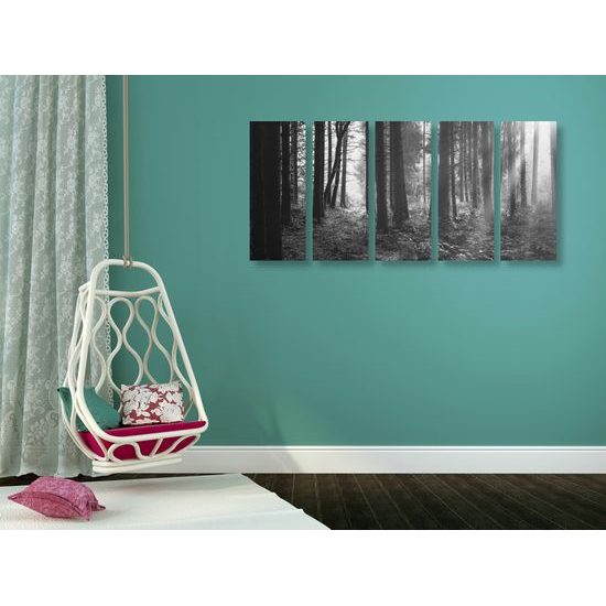 5-dielny obraz slnko predierajúce sa medzi korunami stromov v čiernobielom prevedení