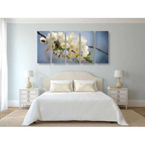 5-dielny obraz krásna čerešňa v rozkvete