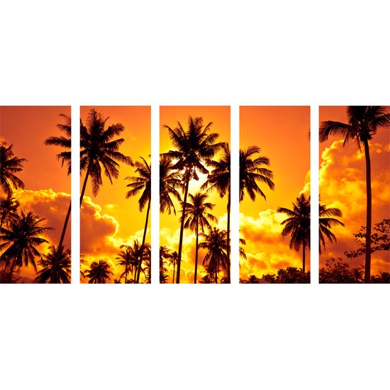 5-dielny obraz kokosové palmy v žiare slnka