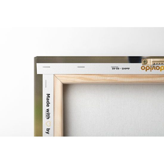 Obraz majestátny tiger