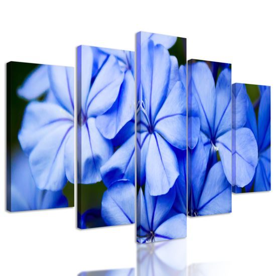 5-dielny obraz krásne nebesky modré kvety