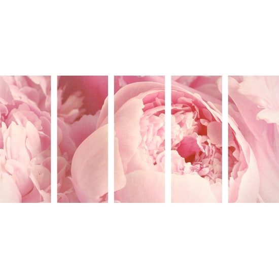 5-dielny obraz detail na ružové kvety