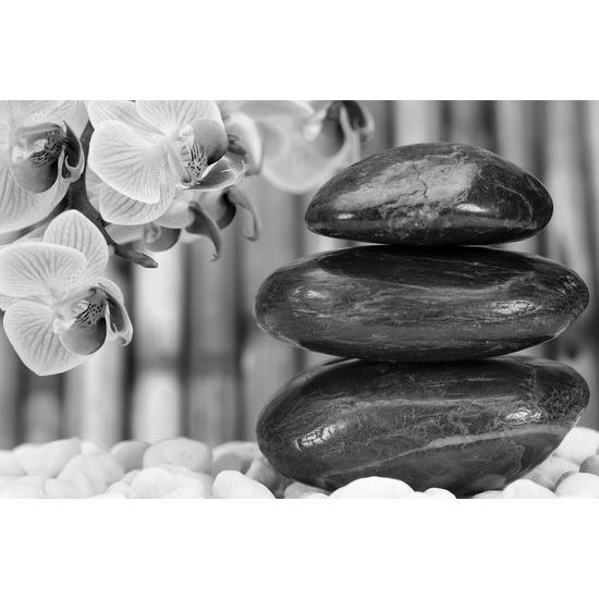 Obraz bambusová Zen záhrada v čiernobielom prevedení