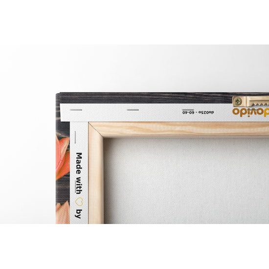 Obraz oranžové tulipány v jarnej záhrade