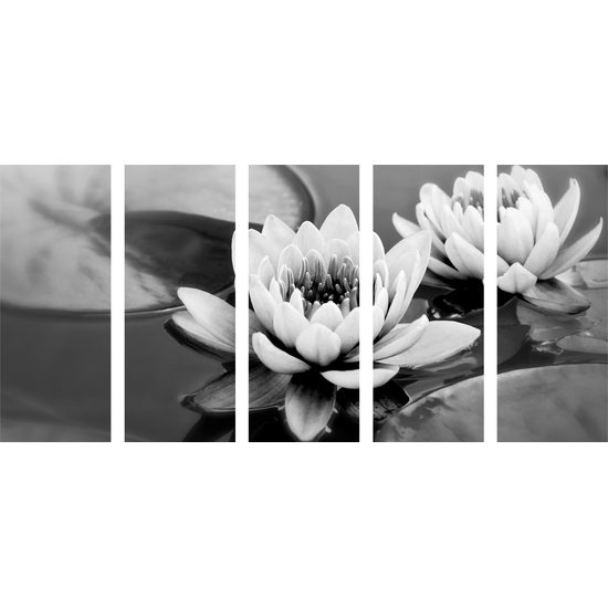5-dielny obraz čiernobiele lekno v rieke