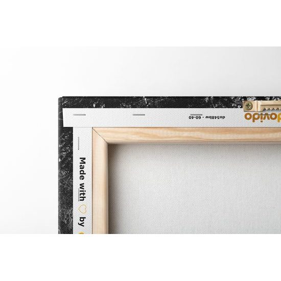 Obraz les ako vystrihnutý z rozprávky v čiernobielom prevedení