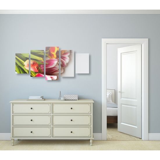 5-dielny obraz nádherne sfarbené tulipány