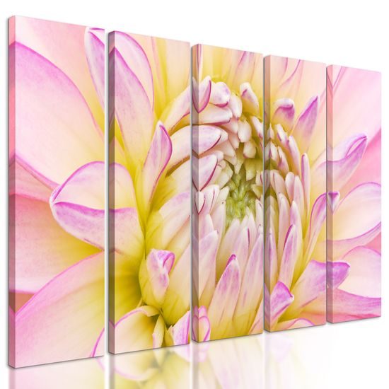 5-dielny obraz perfektný detail na kvet dálie
