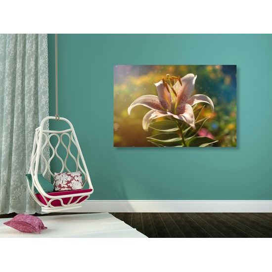 Obraz kvitnúci kvet