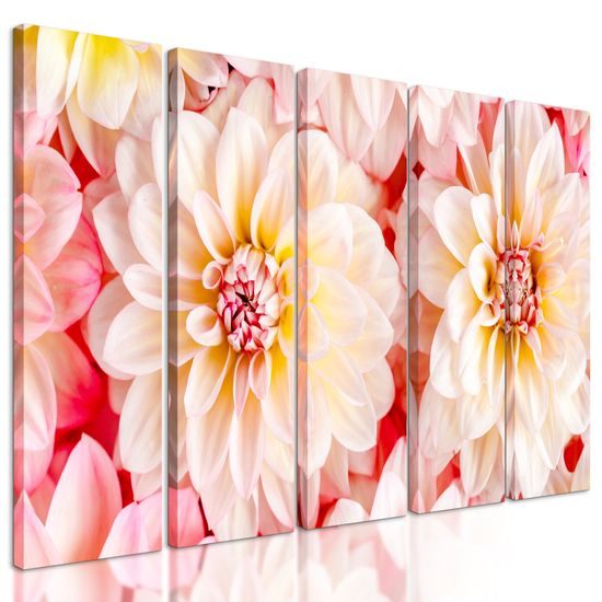 5-dielny obraz jemné rozkvitnuté dálie
