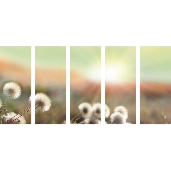 5-dielny obraz letná lúka v plnej kráse