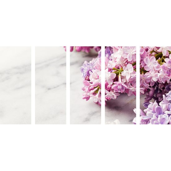 5-dielny obraz jemné jarné kvety