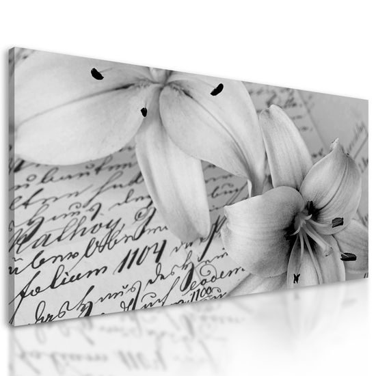Obraz ľalia na ľúbostnom liste v čiernobielom prevedení