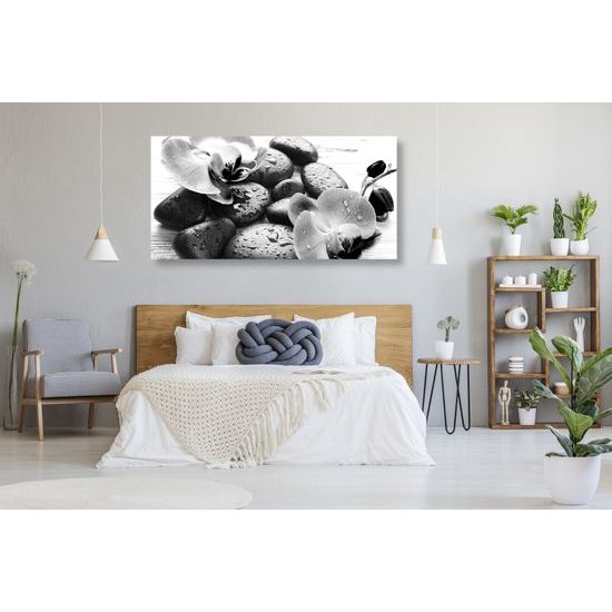 Obraz wellness kamene a orchidea po daždi v čiernobielom prevedení