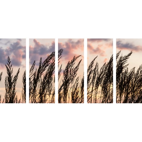 5-dielny obraz poľná tráva s nebeským pozadím