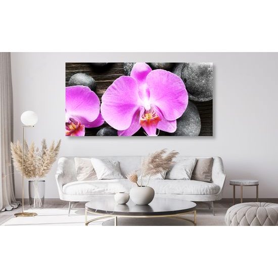 Obraz orchidea a Zen kamene na drevenom pozadí