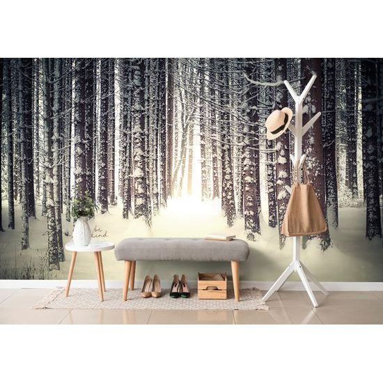 Samolepiaca fototapeta stromy pokryté snehovou nádielkou