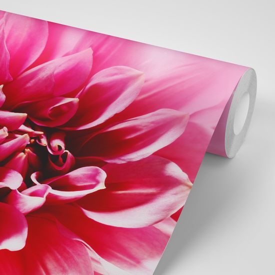 Okúzľujúca samolepiaca tapeta kvet v odtieňoch ružovej