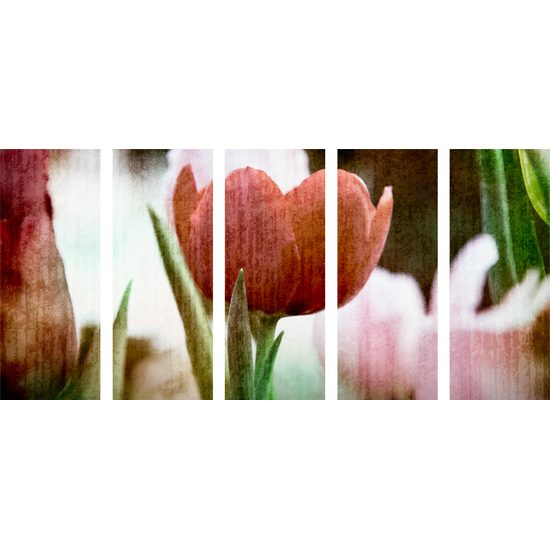 5-dielny obraz divý tulipán vo vintage štýle