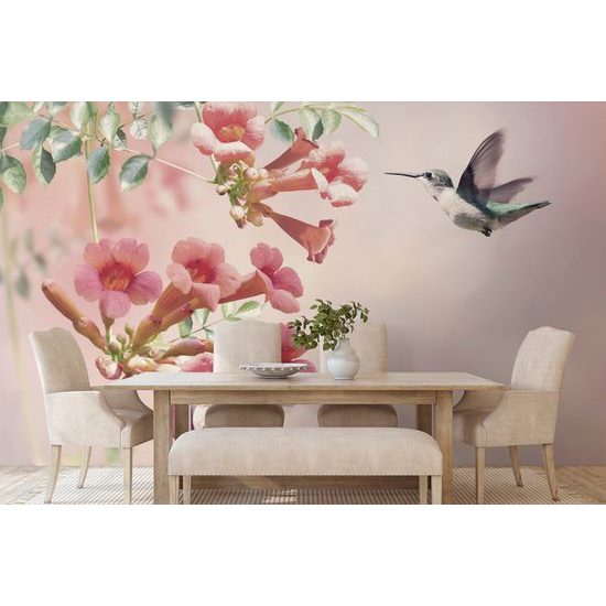 Samolepiaca tapeta nádherný kolibrík