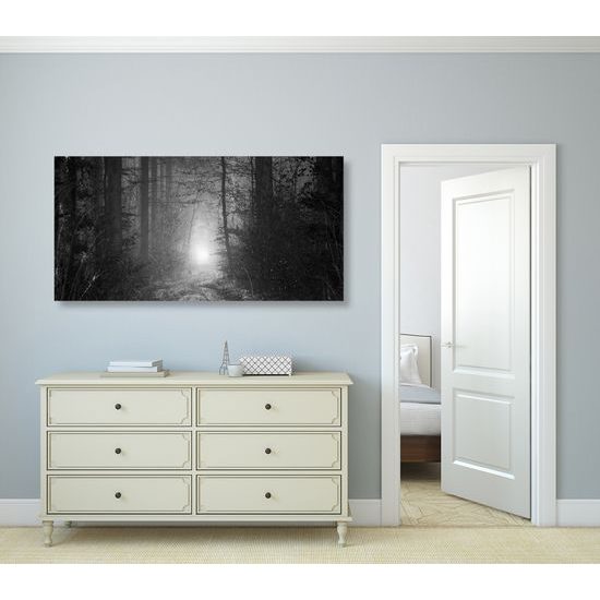 Obraz svetlo na konci cesty v čiernobielom prevedení