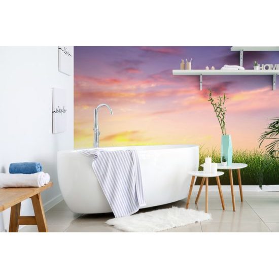 Samolepiaca tapeta lúče slnka nad lúkou