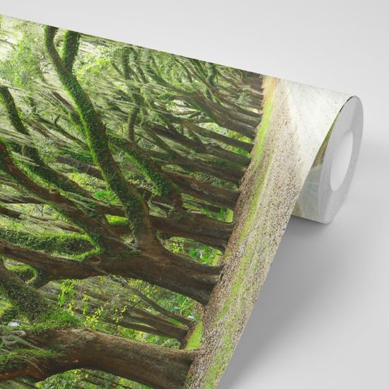 Samolepiaca fototapeta obrastené stromy