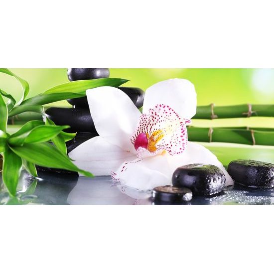 Obraz zen zátišie s orchideou