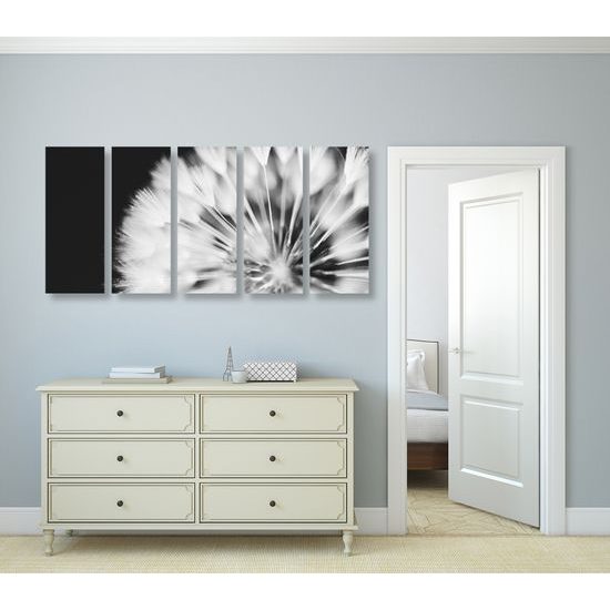 5-dielny obraz nádherný detail púpavy v čiernobielom prevedení