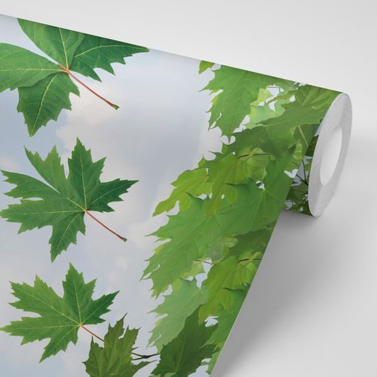 Zaujímavá samolepiaca tapeta odlietajúce listy