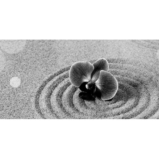 Obraz orchidea v piesku v čiernobielom prevedení