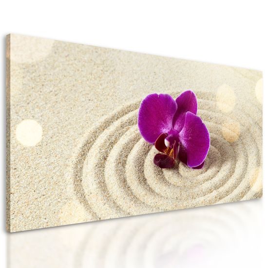Obraz orchidea v piesku