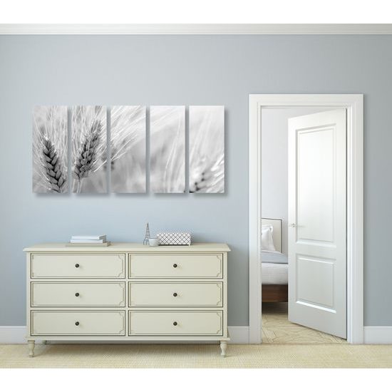 5-dielny obraz detail pšenice v čiernobielom prevedení